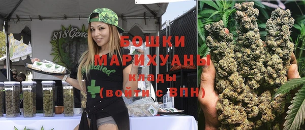 jwh Пересвет