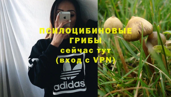2c-b Баксан