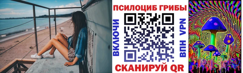 KRAKEN как зайти  Конаково  Псилоцибиновые грибы Psilocybine cubensis 